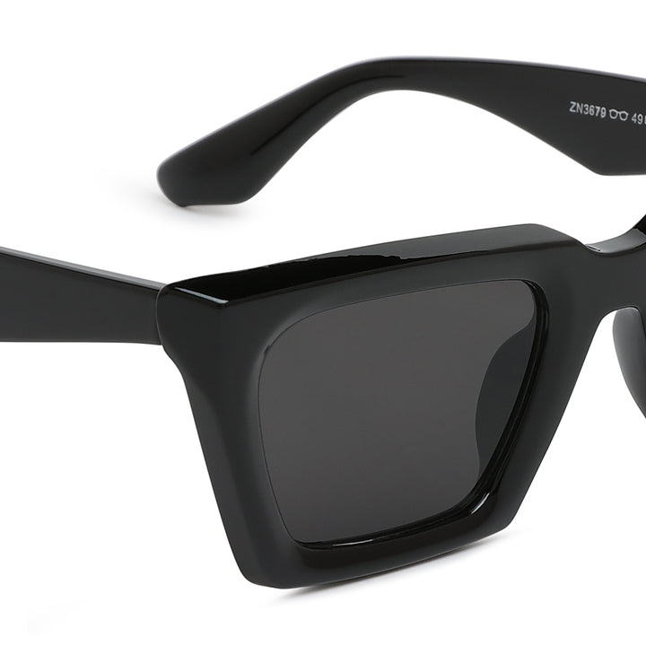 Full Rim Wayfarer Sunglasses