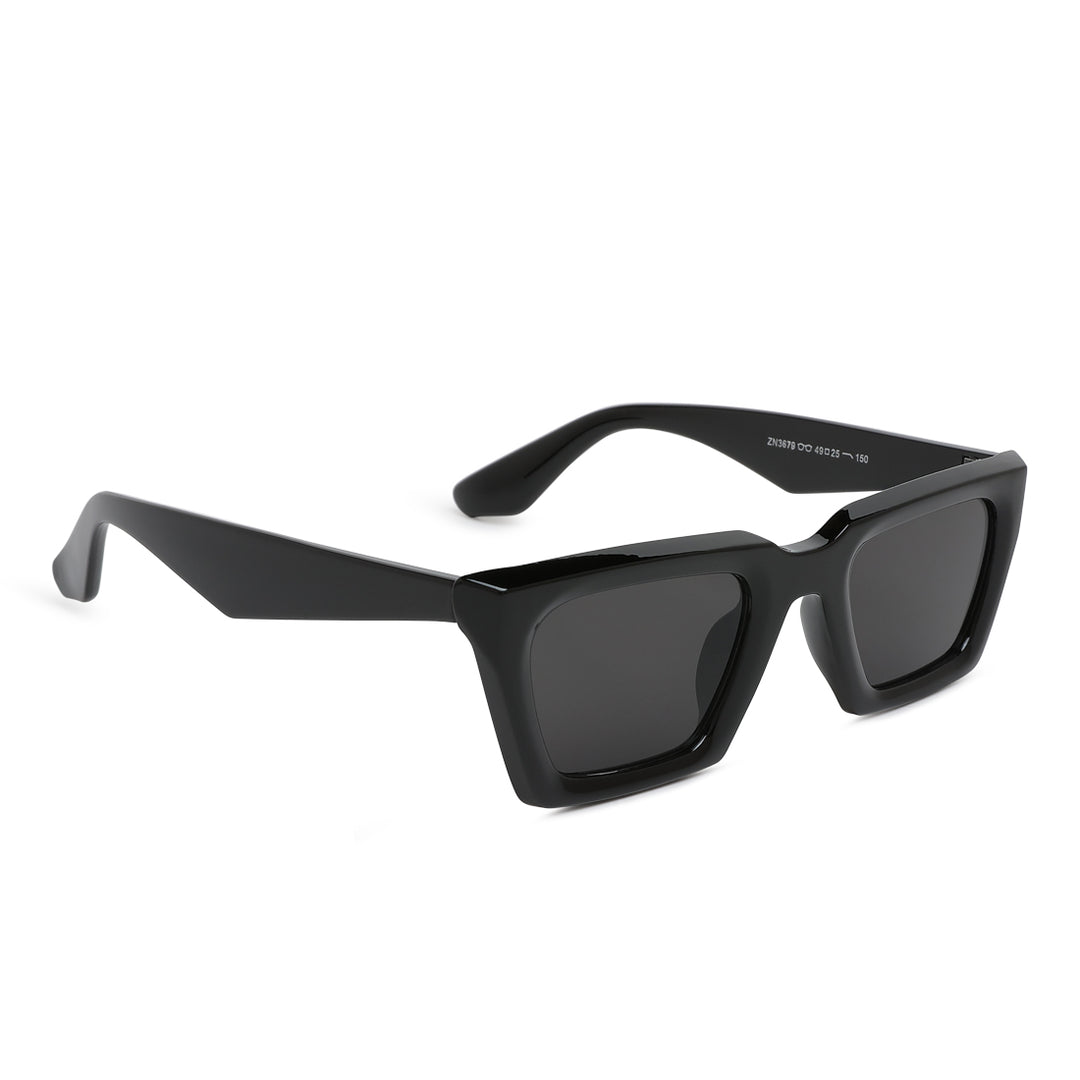 Full Rim Wayfarer Sunglasses