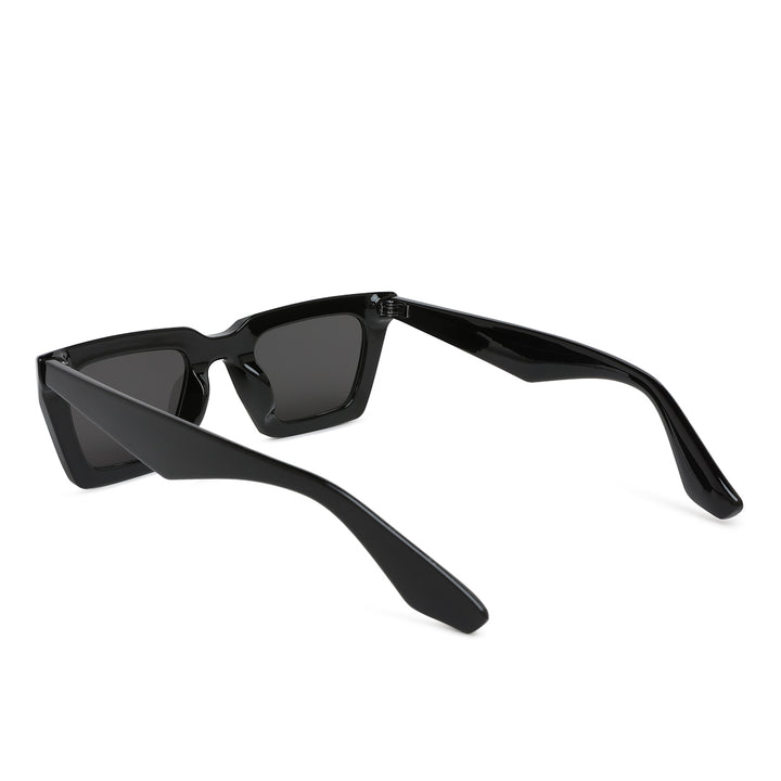 Full Rim Wayfarer Sunglasses