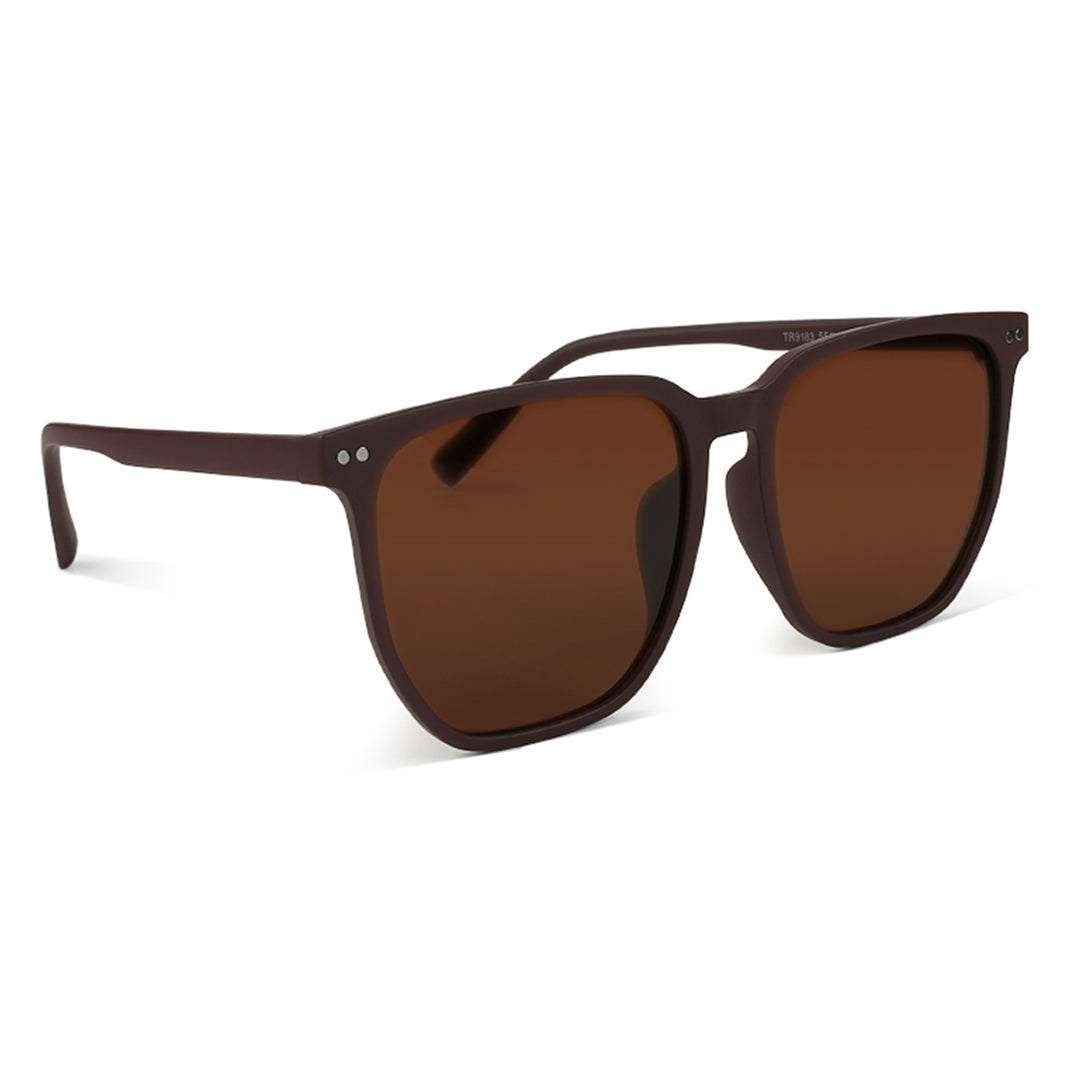 Wayfarer Tinted Classic Sunglasses