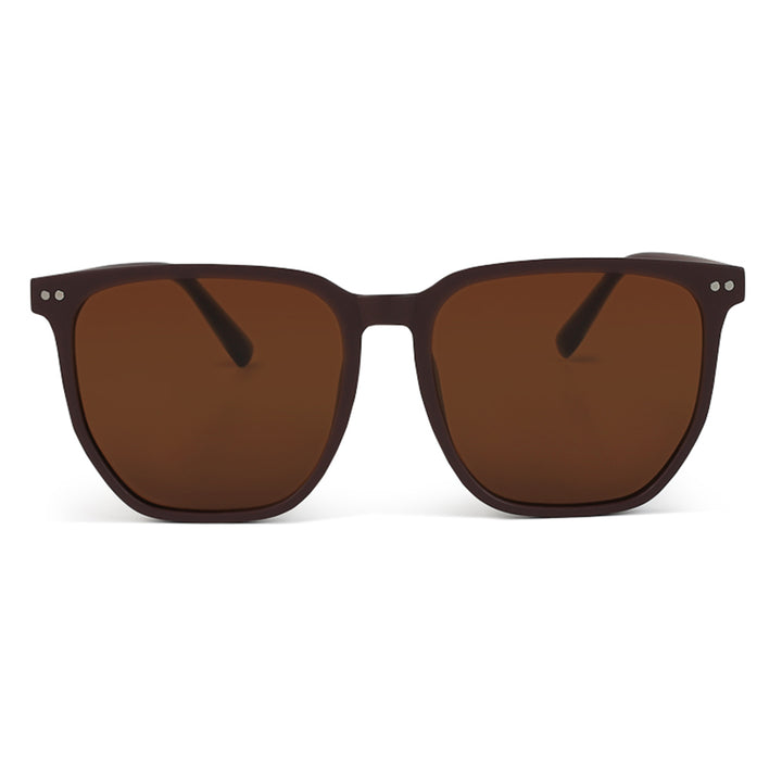 Wayfarer Tinted Classic Sunglasses