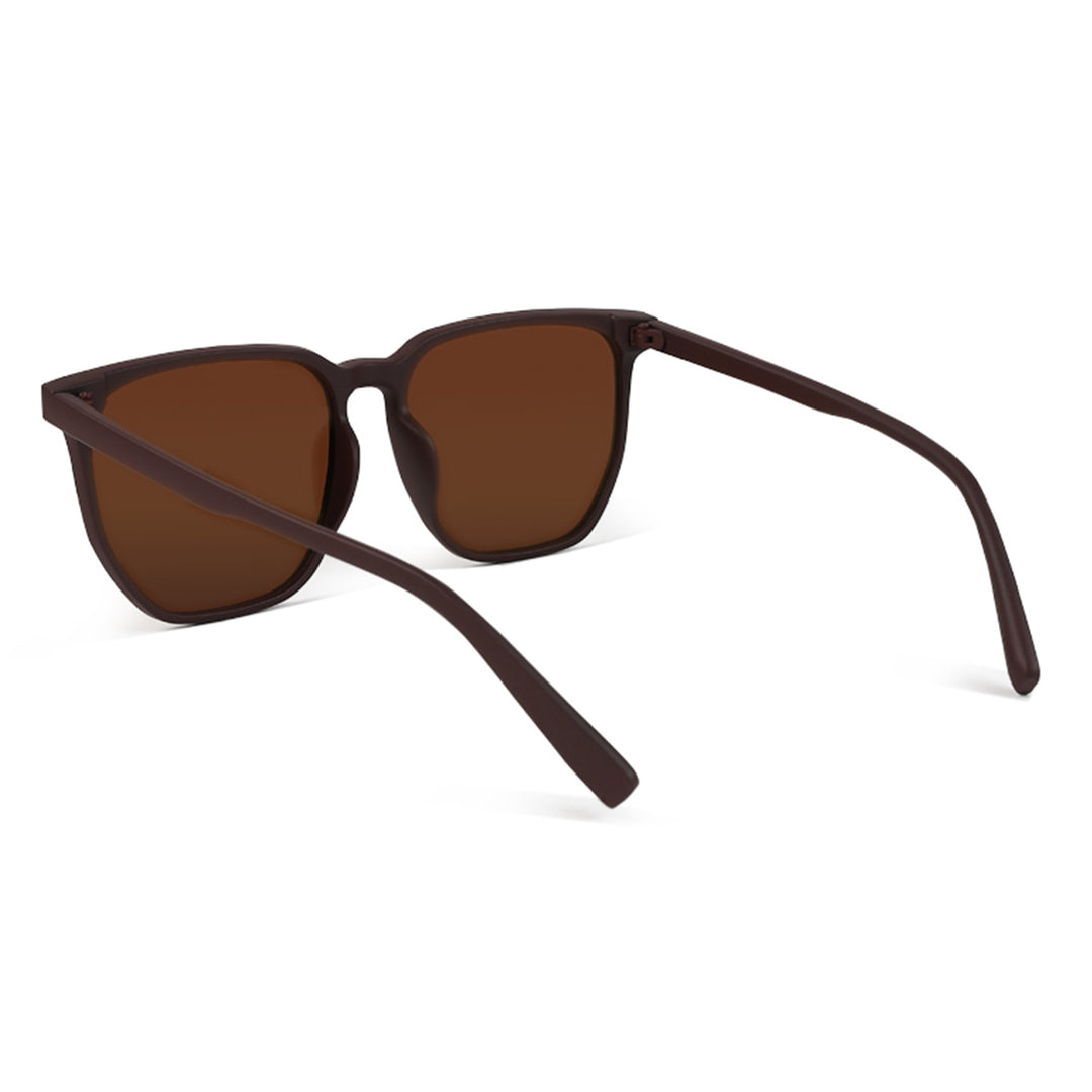 Wayfarer Tinted Classic Sunglasses