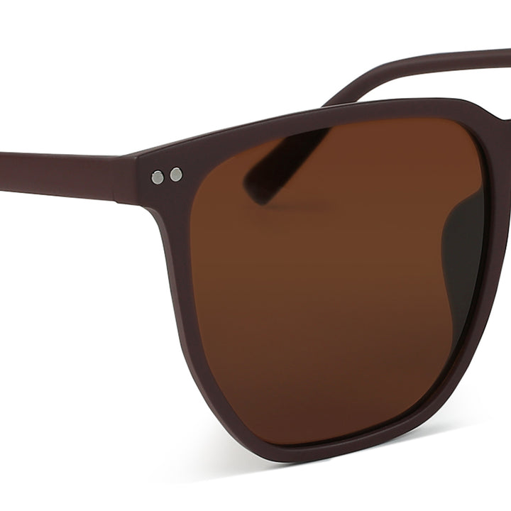 Wayfarer Tinted Classic Sunglasses