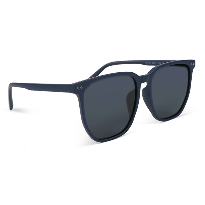 Wayfarer Tinted Classic Sunglasses