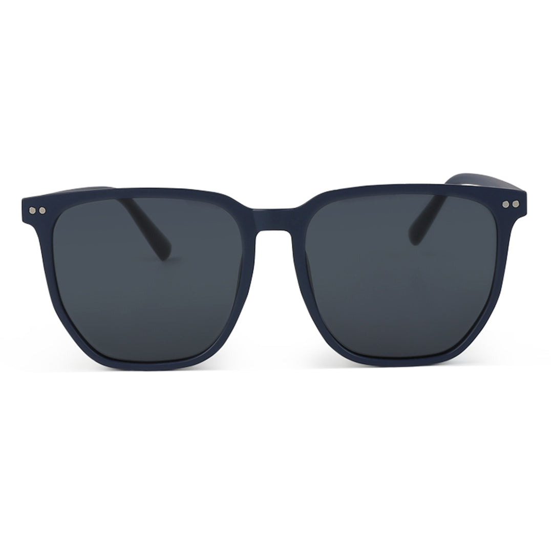 Wayfarer Tinted Classic Sunglasses