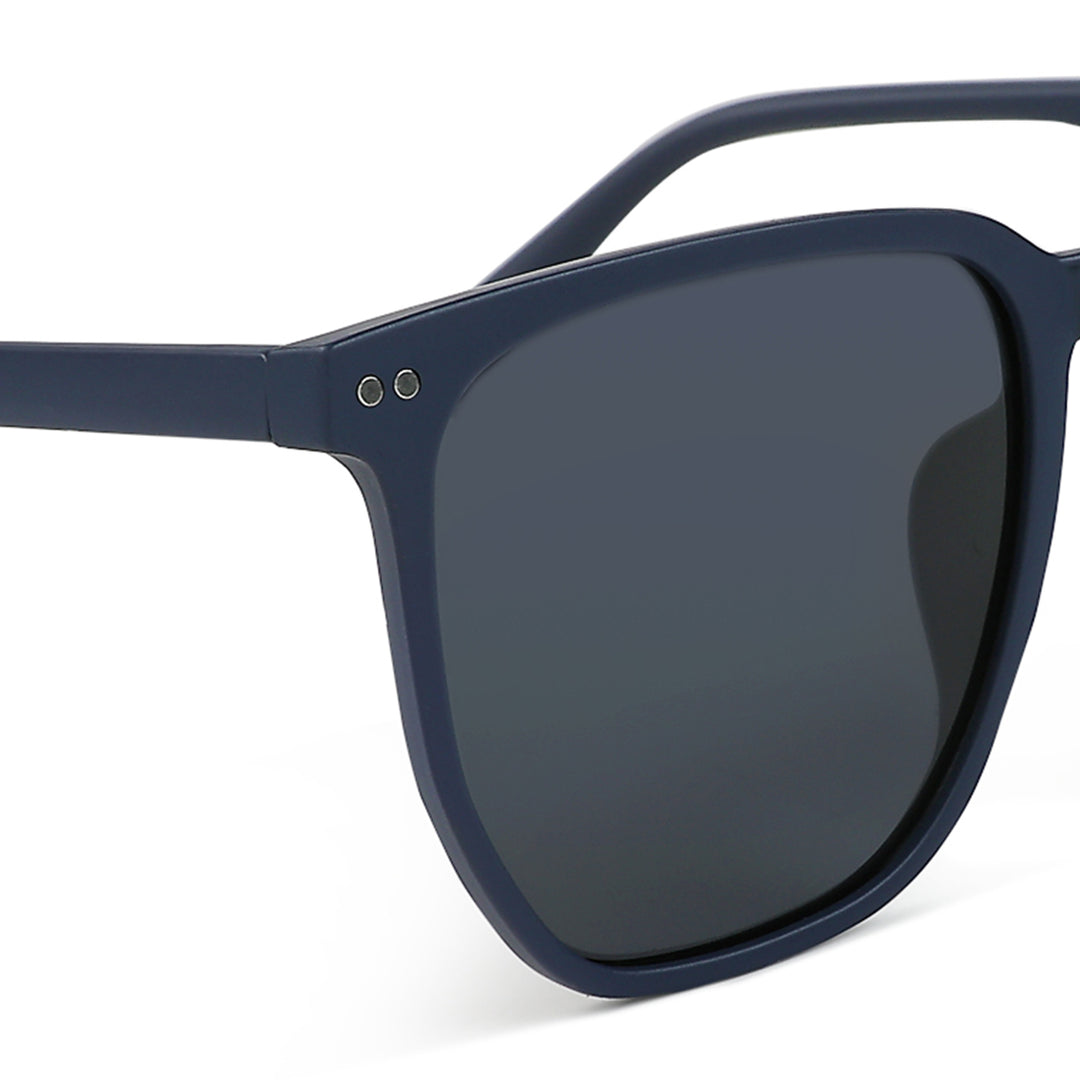 Wayfarer Tinted Classic Sunglasses